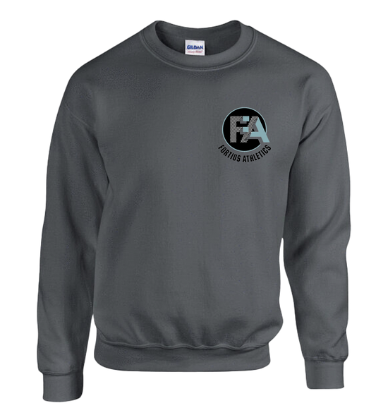 Fortius Grey Sweatshirt