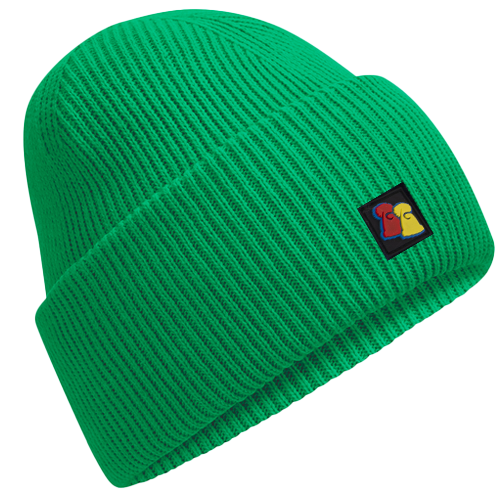 Kelly Green Ribbed Beanie